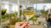 Día del Sauvignon Blanc: bares, restaurantes y etiquetas para descubrir hoy 