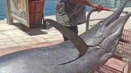 0405_pesca