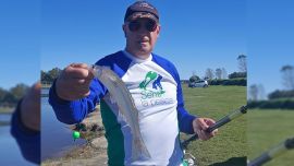 La mojarra mediana, encarnada de cola a cabeza, funcionó bien en el arranque. Sin embargo, cuando la actividad decayó, el cambio a filet de dientudo permitió reactivar el pique. La profundidad también fue determinante: los mejores resultados se dieron a apenas 10 cm, confirmando que el peje estaba comiendo muy arriba.