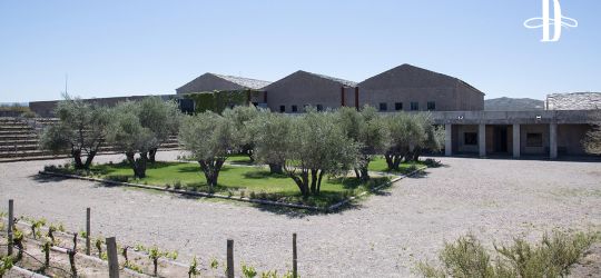 Bienvenida Bodega Atamisque a Delirio