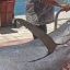 0405_marlin_negro