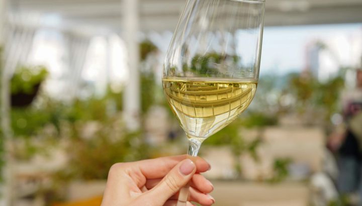 Día del Sauvignon Blanc: bares, restaurantes y etiquetas para descubrir hoy 