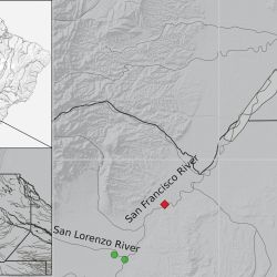 El Phenacorhamdia bermejo se distingue por características muy particulares. Entre ellas, sobresalen sus largas barbillas maxilares, que pueden extenderse más allá de las aletas pectorales e incluso alcanzar el origen de la aleta dorsal. Además, presenta un tono marrón rojizo uniforme, rasgo que inspiró su nombre específico.