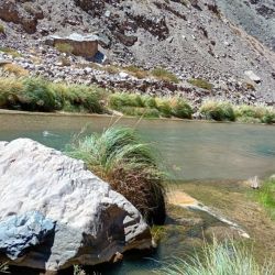Desde el organismo provincial remarcan la importancia de respetar las vedas y restricciones vigentes, ya que el impacto del accionar humano sobre estos ambientes puede comprometer seriamente su sustentabilidad. 