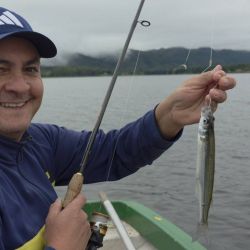 Tanto el Dique Los Molinos como el Dique San Roque se posicionan como dos de los destinos más importantes para la pesca del pejerrey en Córdoba. 