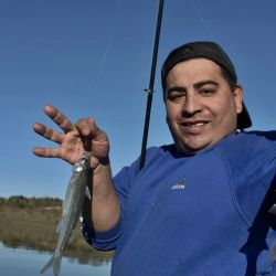 Tanto el Dique Los Molinos como el Dique San Roque se posicionan como dos de los destinos más importantes para la pesca del pejerrey en Córdoba. 