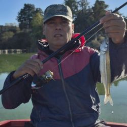 Tanto el Dique Los Molinos como el Dique San Roque se posicionan como dos de los destinos más importantes para la pesca del pejerrey en Córdoba. 