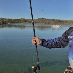 Tanto el Dique Los Molinos como el Dique San Roque se posicionan como dos de los destinos más importantes para la pesca del pejerrey en Córdoba. 