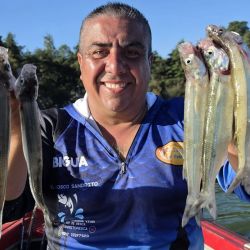 Tanto el Dique Los Molinos como el Dique San Roque se posicionan como dos de los destinos más importantes para la pesca del pejerrey en Córdoba. 