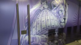 Dirigentes de La Libertad Avanza reemplazaron la bandera argentina de una sala en el Anexo del Congreso por un león