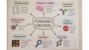 El director de orquesta invisible: las funciones ejecutivas