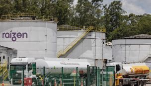 Raizen SA Facilities Ahead Of Earnings Figures