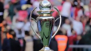 Trofeo de la Liga Profesional