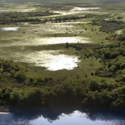 El Parque Nacional Esteros de Farrapos e islas del río Uruguay se encuentra en el departamento de Río Negro, sobre la costa del río homónimo.