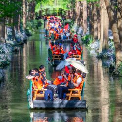 Turistas disfrutan del paisaje a bordo de balsas en un parque nacional de humedales, en la ciudad de Xinghua, en la provincia de Jiangsu, en el este de China. | Foto:Xinhua/Zhou Shegen