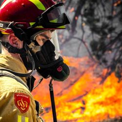 Un bombero trabaja para extinguir un incendio forestal cerca de Budel, un día después de que se desatara en un campo de entrenamiento militar donde se realizaban ejercicios militares. | Foto:ROB ENGELAAR / ANP / AFP