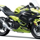 Kawasaki Ninja 2026