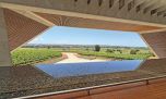 Ribera del Duero: las bodegas imprescindibles para descubrir la gran ruta del vino español