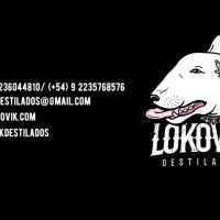 Destilería Lokovik triunfa en Londres: Su gin "Bosque de Lima" es elegido el mejor de Argentina