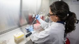 Hantavirus_investigación