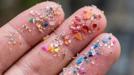 Microplásticos