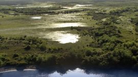 Sancionaron la ampliación del Parque Nacional Esteros de Farrapos e Islas del Río Uruguay