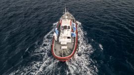 Hantavirus en un crucero: por qué los infectólogos consideran “marginal” la transmisión entre personas