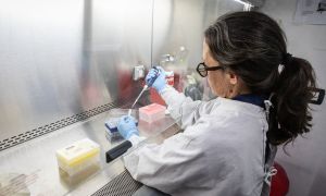 Hantavirus_investigación