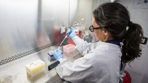 Hantavirus_investigación