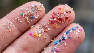 Microplásticos