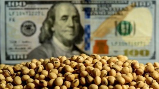 Entrada de divisas a través del agro: “Este 2026 podemos llegar a tener una liquidación de 29.600 millones”