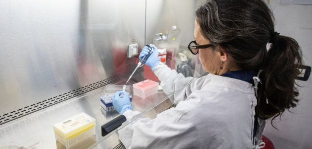 Hantavirus_investigación