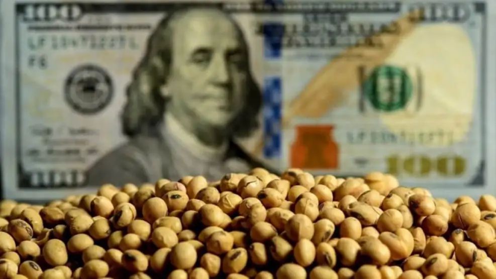Dólar agro