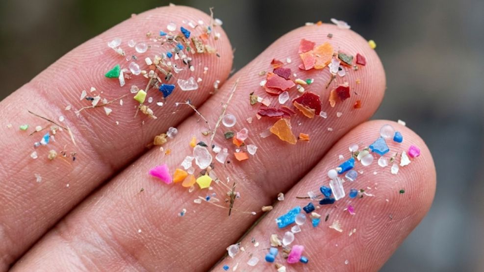 Microplásticos