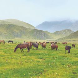 Las vistas que brindan la altura a medida que se asciende son inolvidables. Por eso  la cabalgata es lenta y muy tranquila.