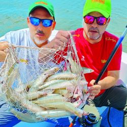  En Vitel no se alquilan embarcaciones, pero se permite la pesca con kayaks y lanchas con motores de hasta 40 HP.