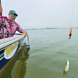  En Vitel no se alquilan embarcaciones, pero se permite la pesca con kayaks y lanchas con motores de hasta 40 HP.