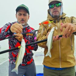  En Vitel no se alquilan embarcaciones, pero se permite la pesca con kayaks y lanchas con motores de hasta 40 HP.