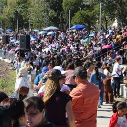 Se fiscalizaron apenas 133 surubíes, de los cuales 37 fueron obtenidos por pescadores locales y 96 por equipos visitantes. Sin embargo, los números no lograron opacar el clima festivo ni el impacto gigantesco del evento.