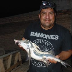 Con la llegada del frío, en Las Grutas todas las miradas apuntan al pejerrey de manila. Los primeros ejemplares ya comenzaron a aparecer, todavía sin grandes cantidades, pero con tamaños promisorios.