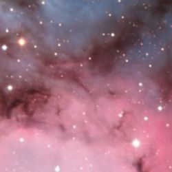 la Nebulosa Trifida presenta un convincente retrato de las etapas tempranas de la vida de una estrella, desde la gestación hasta la primera luz. 