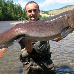 El informe, publicado en la revista científica Hydrobiologia, destaca que factores como el desarrollo económico, el comercio, la acuicultura, la pesca recreativa y el movimiento ornamental de especies favorecieron el aumento de introducciones. 