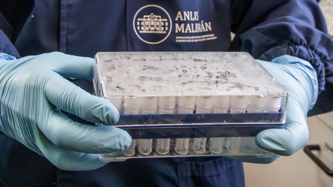 This handout picture released by Argentina's Health Ministry shows a scientist from the Malbran Institute handling containers used to diagnose the Andes hantavirus, which contain RNA from the Andes virus as part of the detection process, in Buenos…