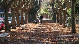 AMBA: ¿Cómo estará el clima este fin de semana?