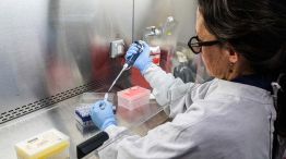 Hantavirus 07052026