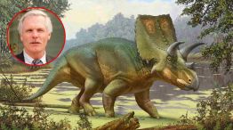 tedTurnerdino