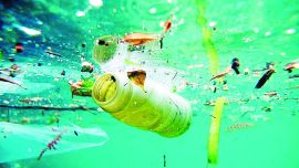 La basura que rompe motores en el Delta