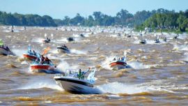 Se fiscalizaron apenas 133 surubíes, de los cuales 37 fueron obtenidos por pescadores locales y 96 por equipos visitantes. Sin embargo, los números no lograron opacar el clima festivo ni el impacto gigantesco del evento.