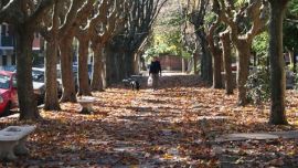 Clima en Ciudad de Buenos Aires este sábado: tarde templada y ambiente agradable antes del cambio