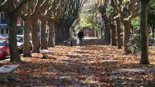AMBA: ¿Cómo estará el clima este fin de semana?